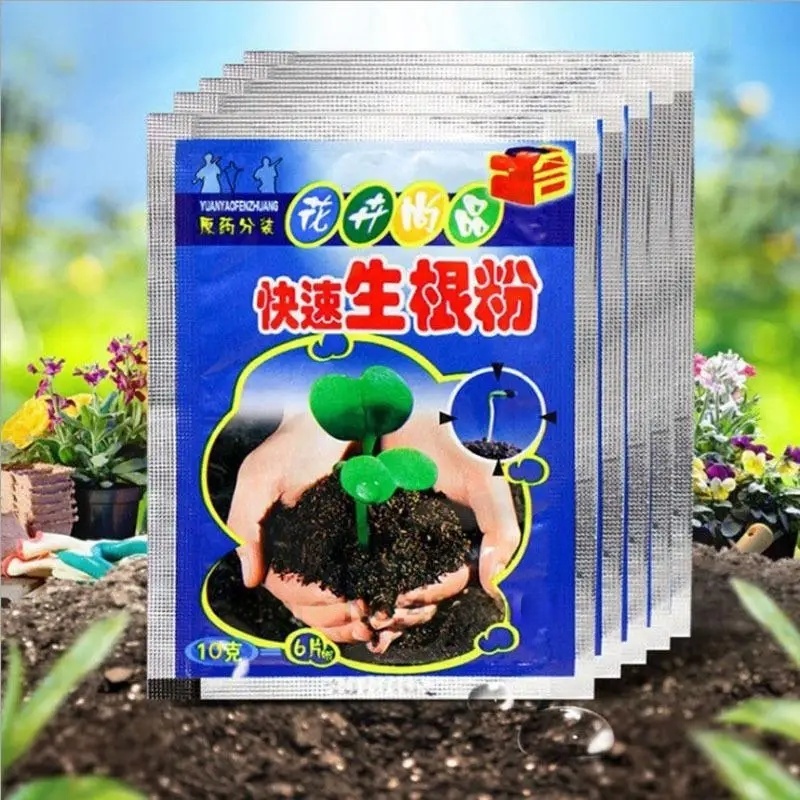 Rooting Hormone Powder - 5 個高速発根粉末植物急速発根剤ホルモン成長根苗発芽ほとんどの植物のための園芸用品