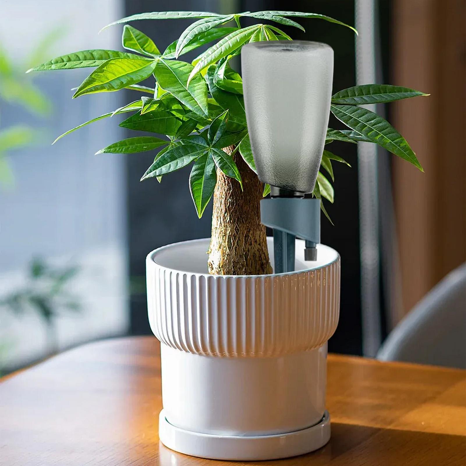 6個入り自動給水器 家庭用花植物自動散水装置 点滴灌漑システ - Self Watering Insert のレビューと価格