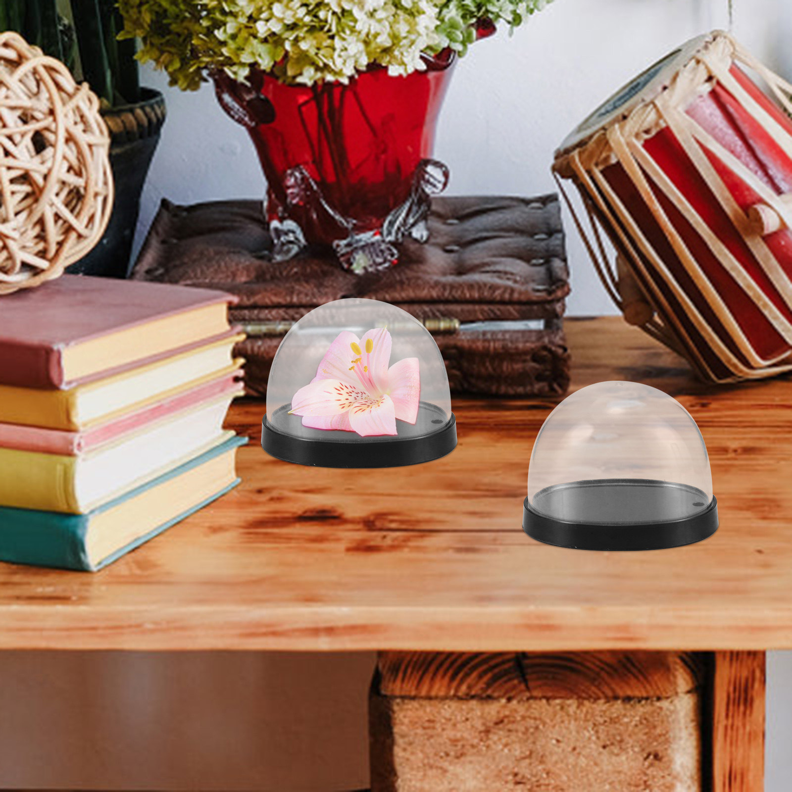 5セット 高透明プラスチック製フラワードーム 花用装飾ディス - Plastic Dome Clear のレビューと価格